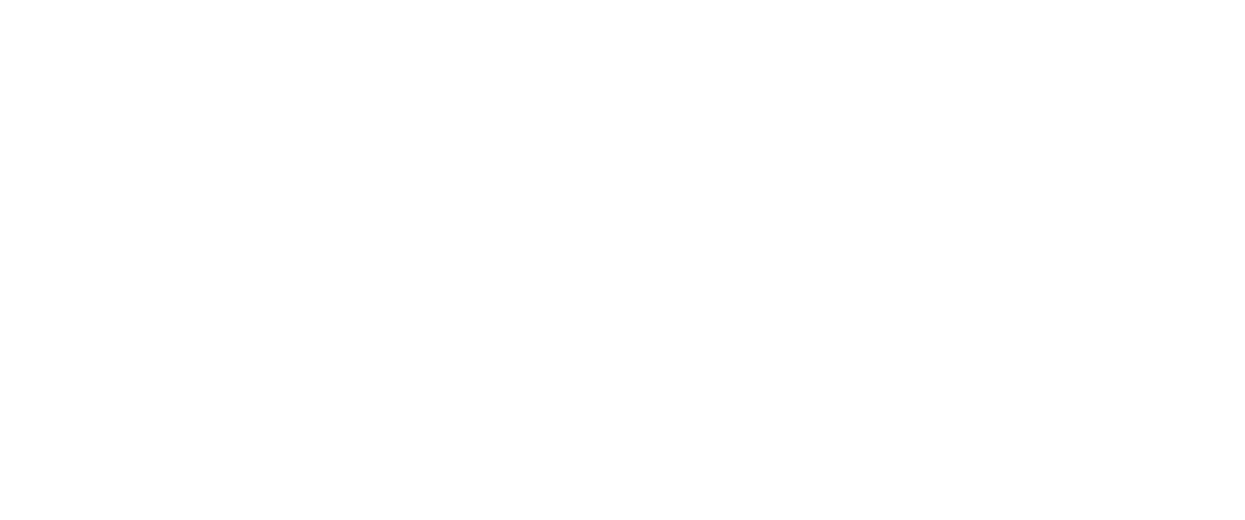 ProChile ProChile